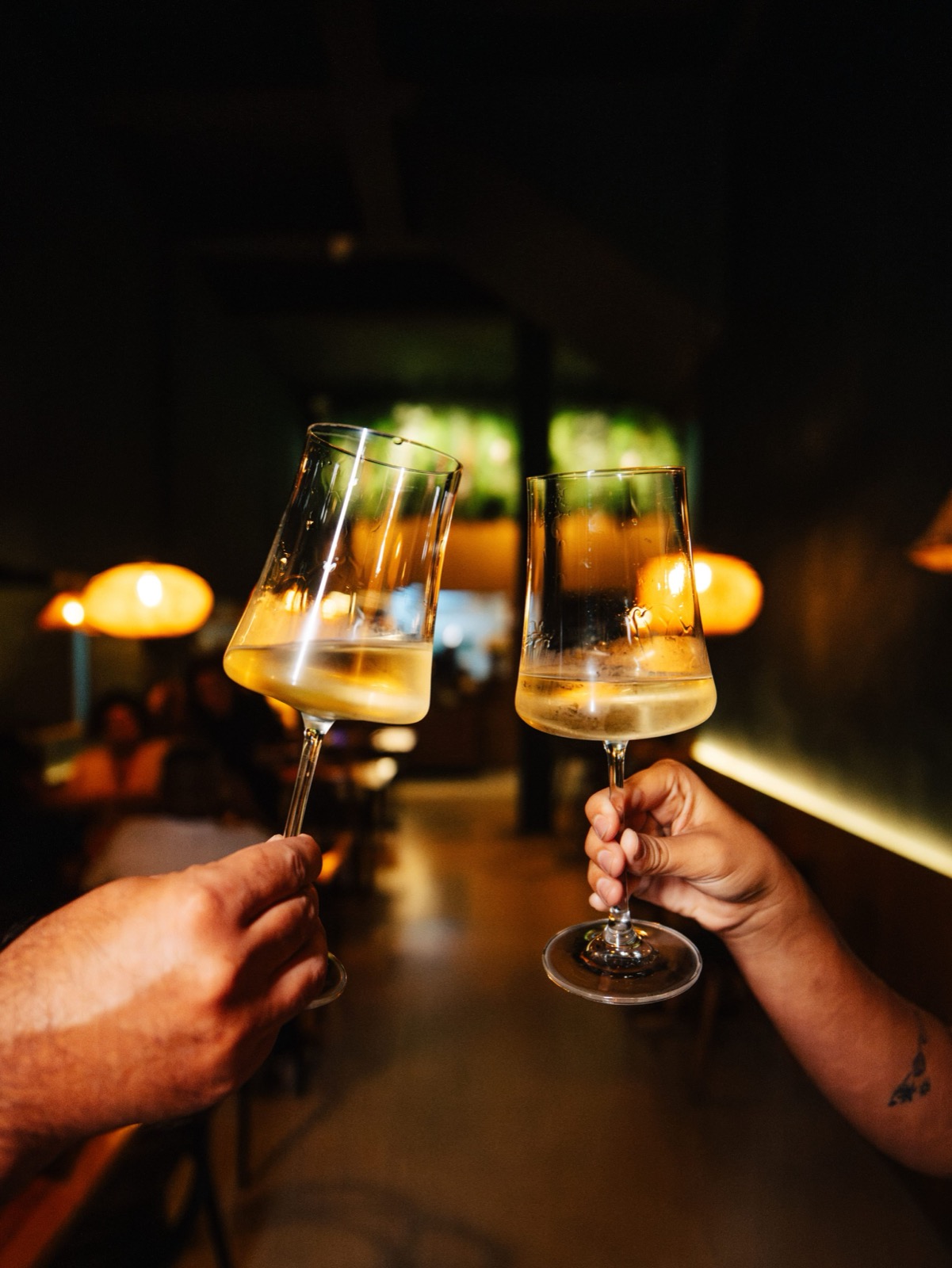 Duas pessoas fazendo um brinde com taças de vinho