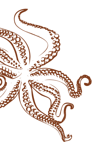 Restaurante Terramaki - ambiente acolhedor em Angra dos Reis