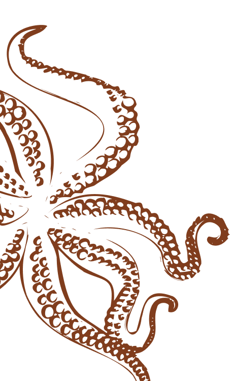 Vista panorâmica do restaurante Terramaki em Angra dos Reis