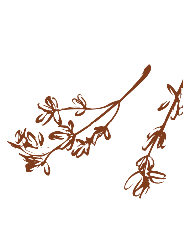 Decoração elegante do ambiente Terramaki