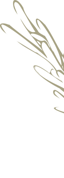 Imagem do restaurante