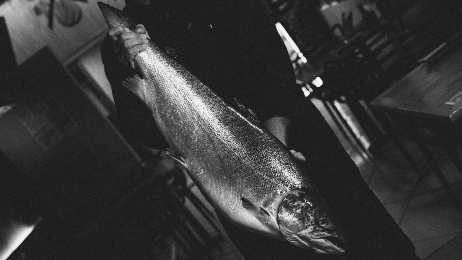 Ingredientes frescos da Costa Verde